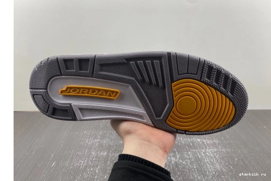 869802-907 Bryant 869802-907   Kobe 3 Jordan PE Retro 0313